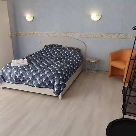 Grand Duplex Hypercentre Avec Parking Garage Lejlighed Agen